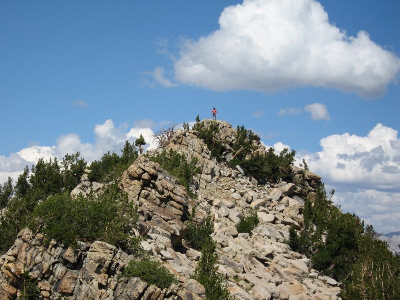 2008-08-05 Hoff (10) hiker on summit